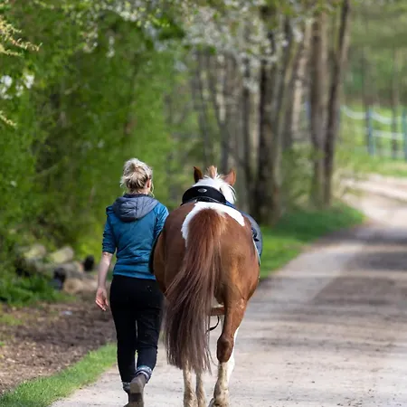 Tinyhousebeidresden Mit Fasssauna Ueber Dem Wasser Schwebendes Winziges Haeuschen Naehe Dresden Saechsische Schweiz